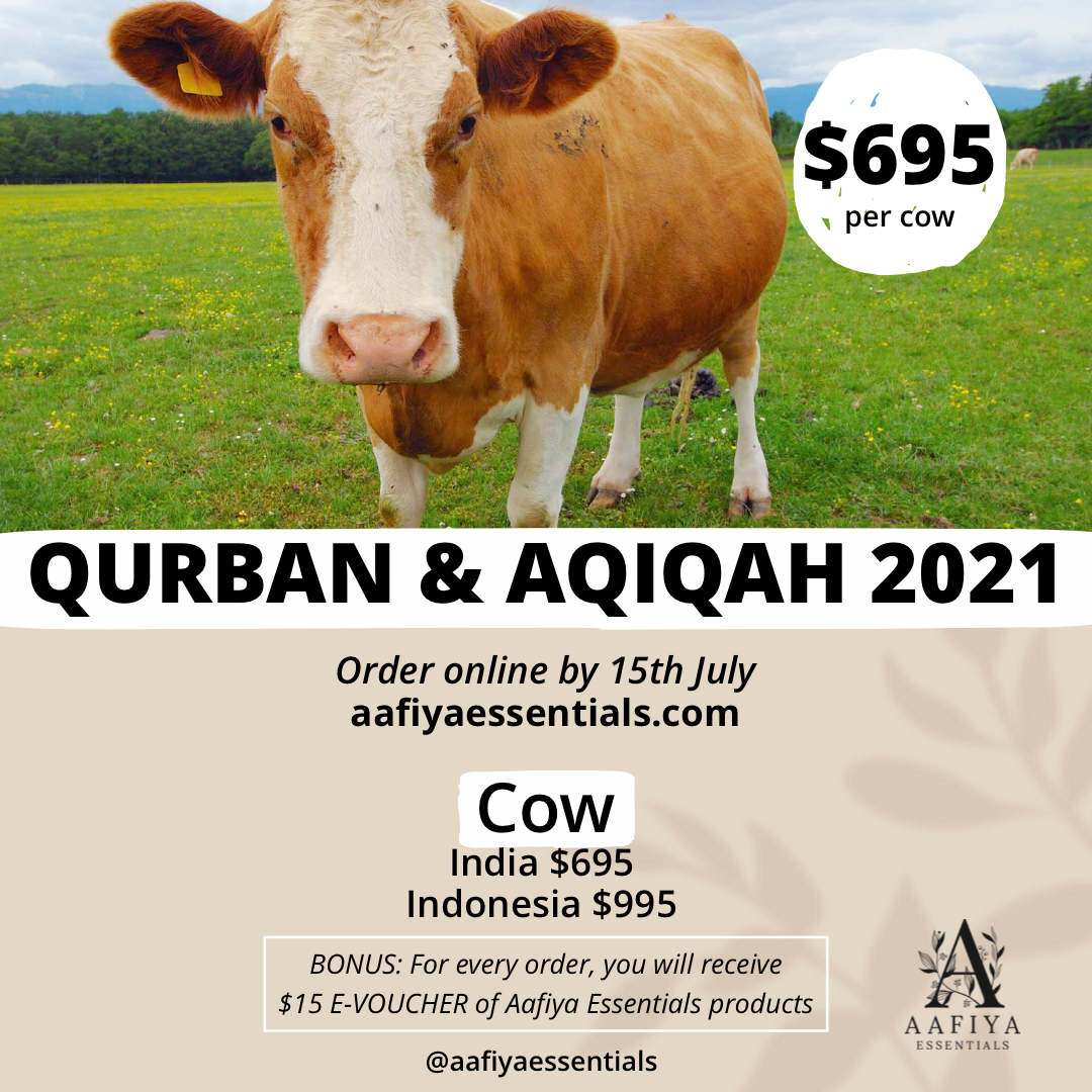 Qurban &amp; Aqiqah (Cow)