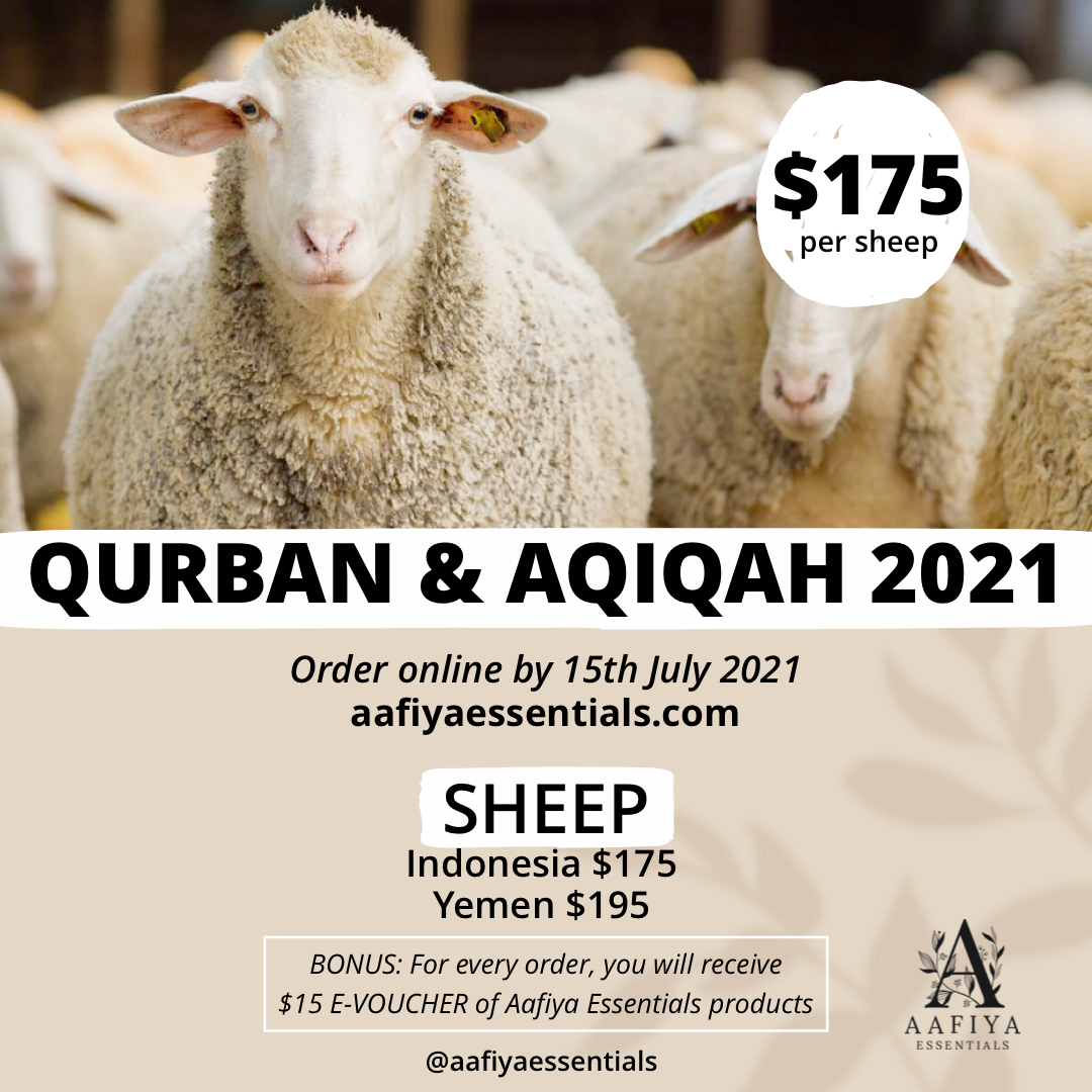 Qurban &amp; Aqiqah (Sheep)